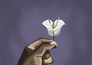 A brown hand holding a flower.